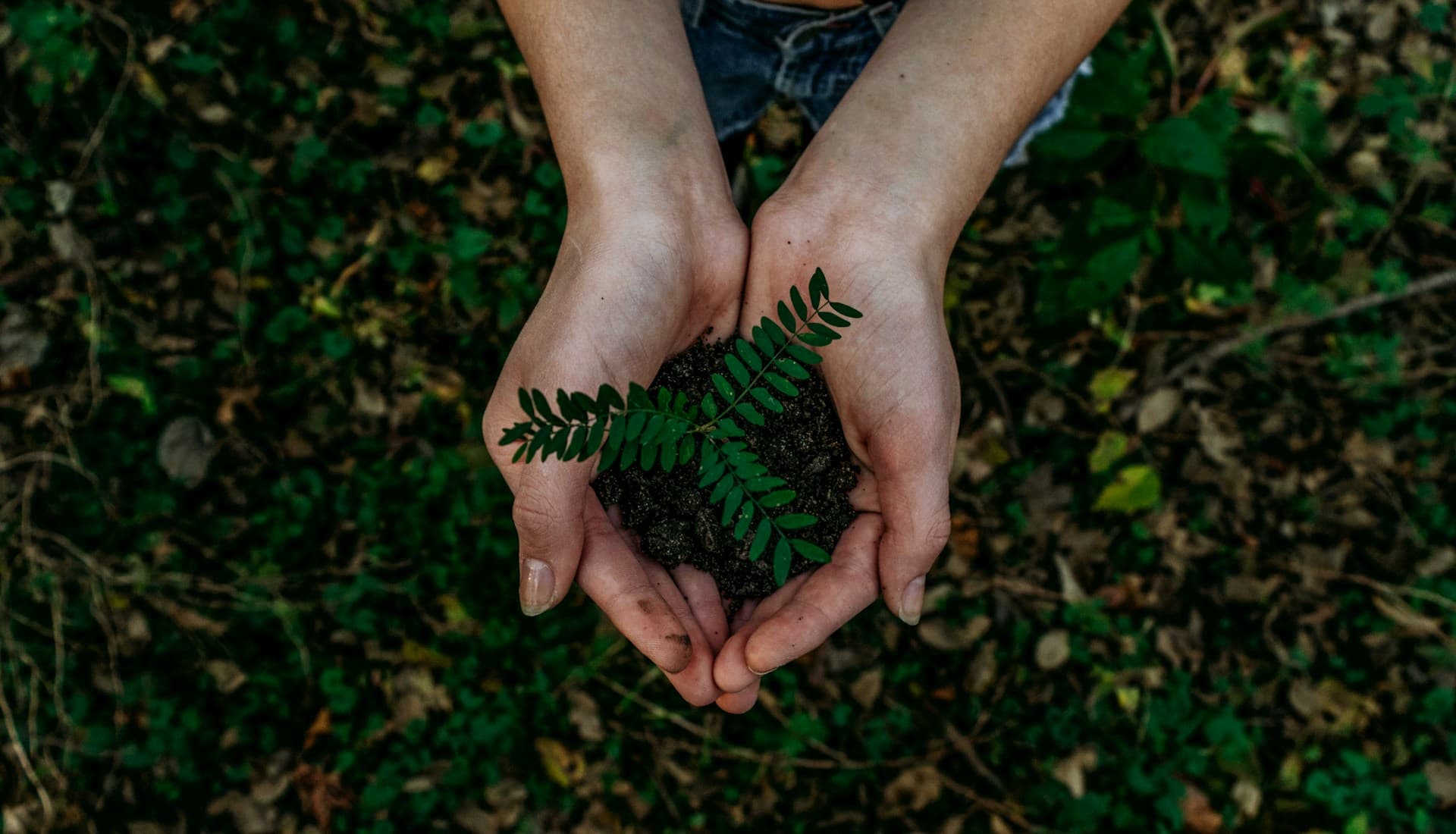 Climate Care